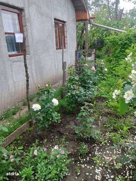 Casa de vanzare la 55km de Bucuresti - Imagine principală: 5/8