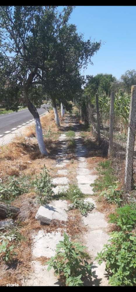 Vand Teren intravilan mare, 2706 mp. Com. Taut, Jud. Arad.Comision 0. - Imagine principală: 5/9