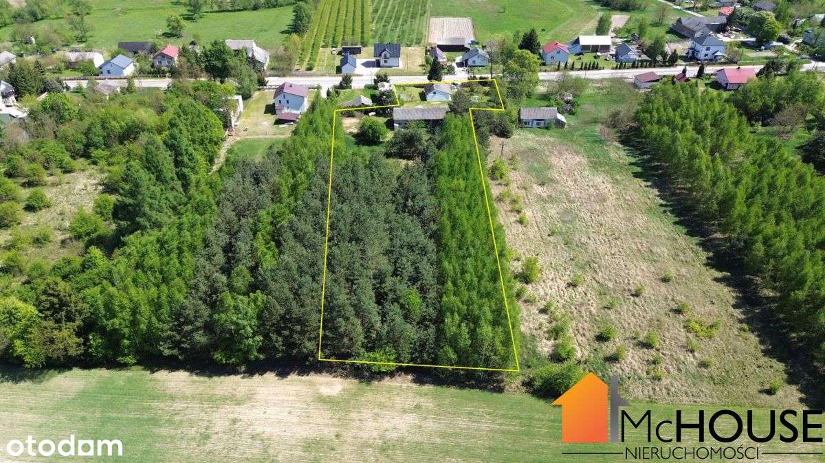 BrzozÓwka- 3 pokoje, własny Las, Przestrzennie - Pełny obrazek: 4/19