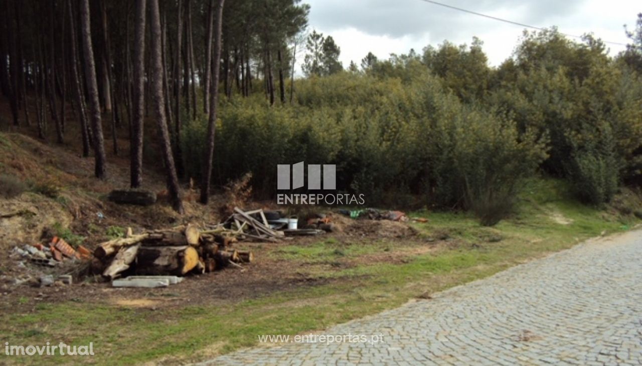 Venda Terreno, junto à estrada, Tabuado, Marco de Canaveses