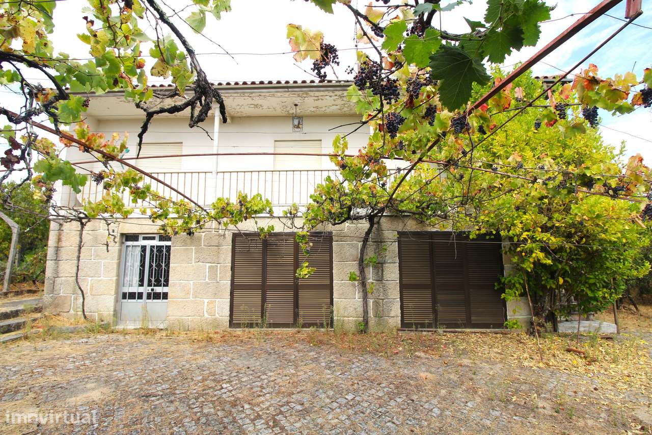 Quinta com 8.000 m² a apenas 10 km do centro de Viseu - Grande imagem: 2/44