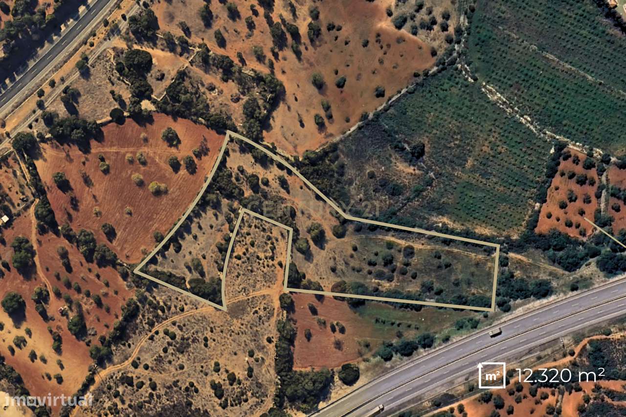 Terreno Rústico com 12.300 m² em Moncarapacho - Olhão - Algarve-5