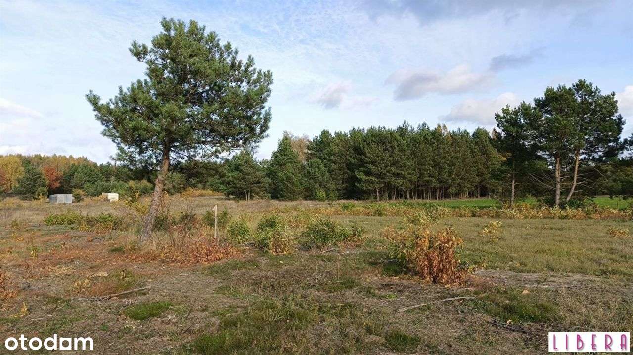 Tylko u nas! Działka, Godzimierz-12