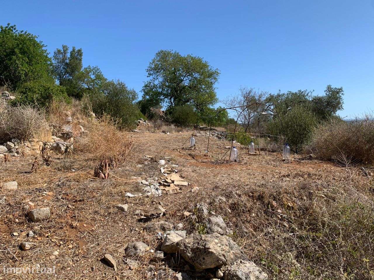 Terreno Urbano, com 3 artigos, Colmeal - Grande imagem: 3/60