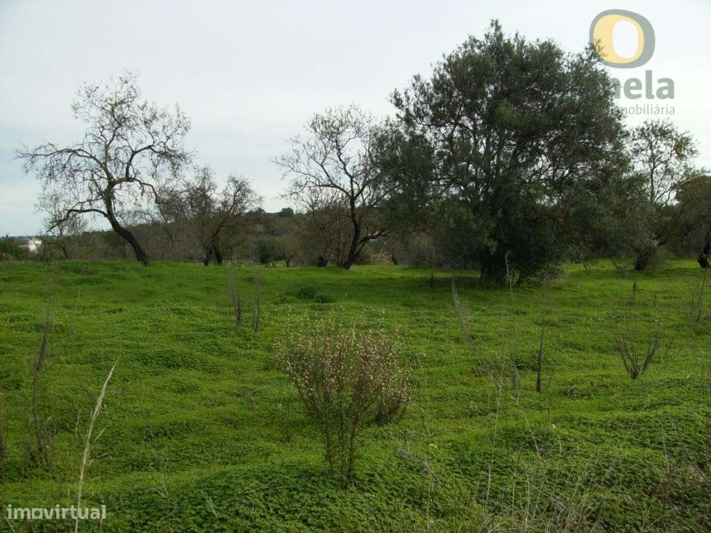Lote de 2 terrenos com 8560 m2 - Grande imagem: 3/5