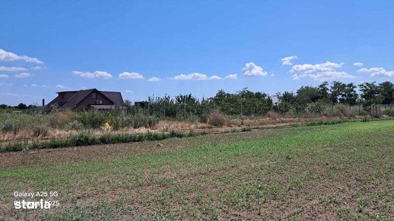 Vand loturi de teren  Extravilan   Sat Costi - Imagine principală: 5/8