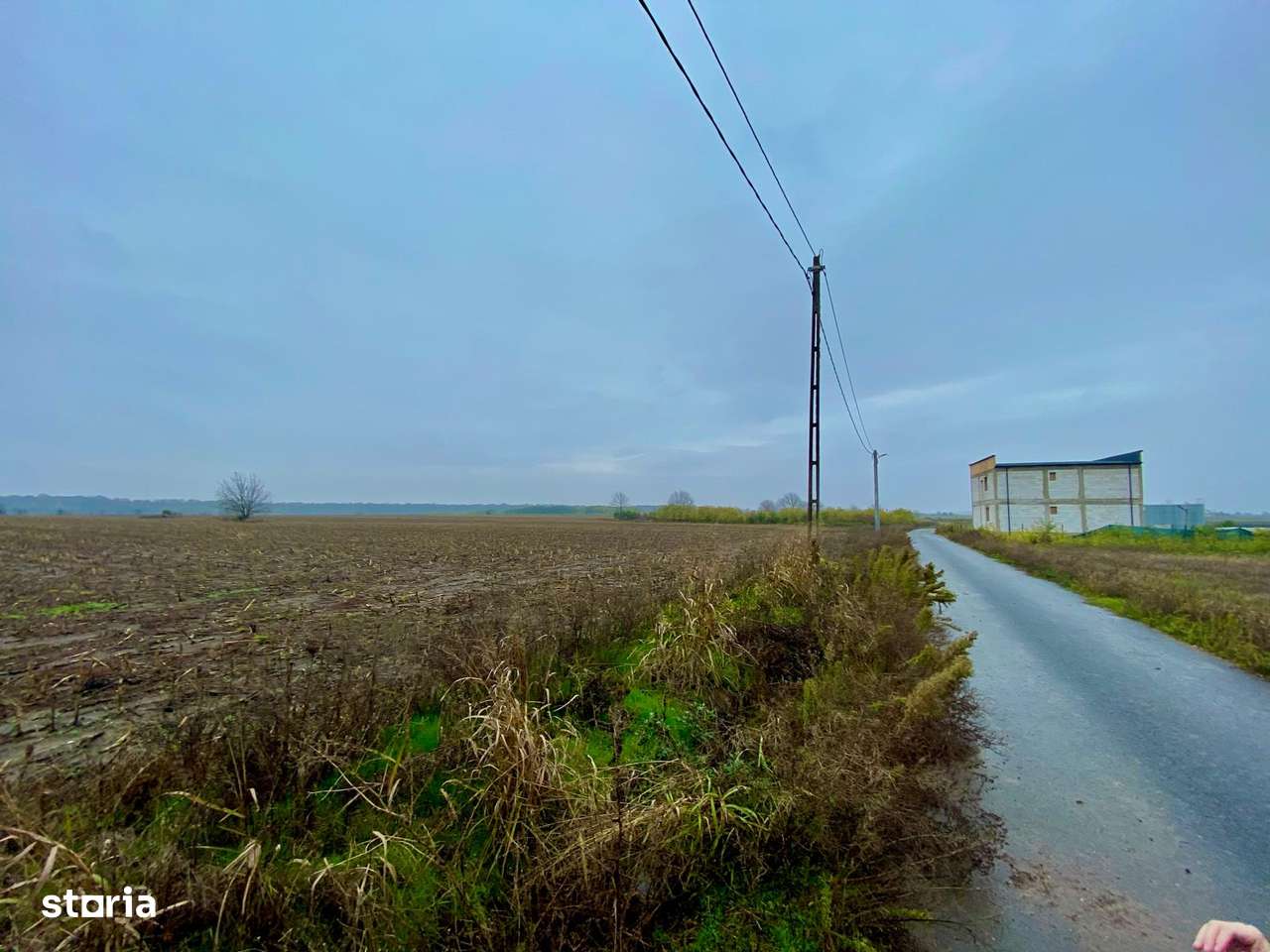 Teren intravilan Dascalu 18.500 mp – utilitati si drum asfaltat - Imagine principală: 4/4