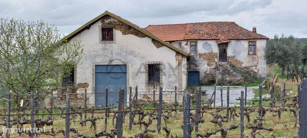 Quinta com vinha em Vila Real - Grande imagem: 2/16