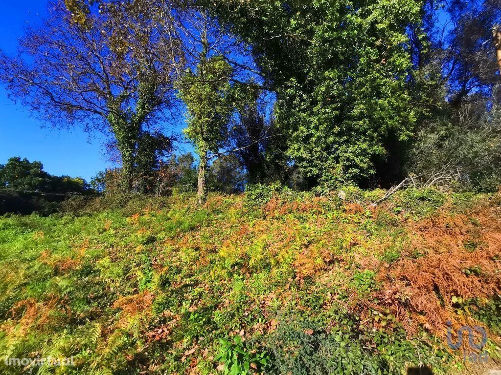 Terreno em Viana do Castelo de 1299,00 m2