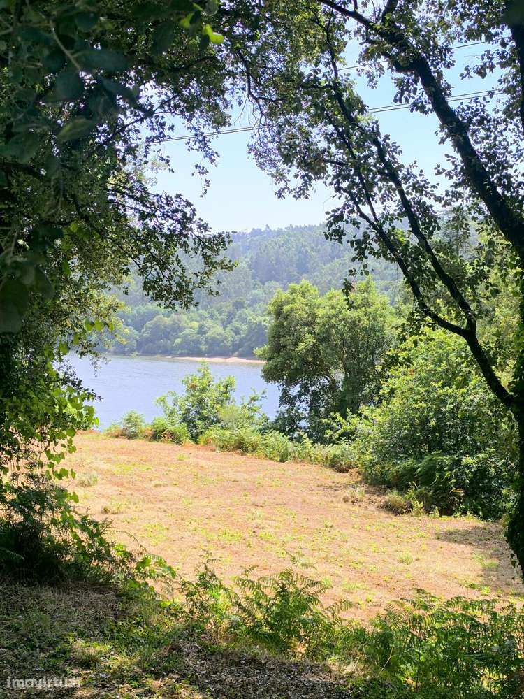 Quinta com 19000 m2 nas margens do Douro-23