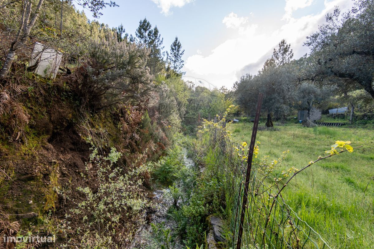 Terreno  para venda