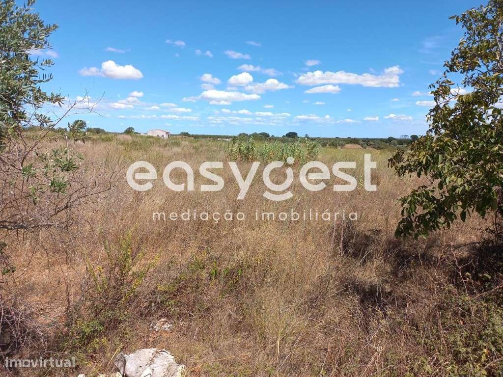 Terreno rústico com boa acessibilidade, com 18920M2 em Almoster - Grande imagem: 5/13