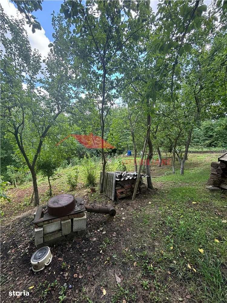 2 Case cu 41 ari teren, Ilisua - Imagine principală: 4/10