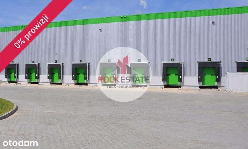 Magazyn 4032 m2 z biurem od zaraz - 0% prowizji - Pełny obrazek: 5/5