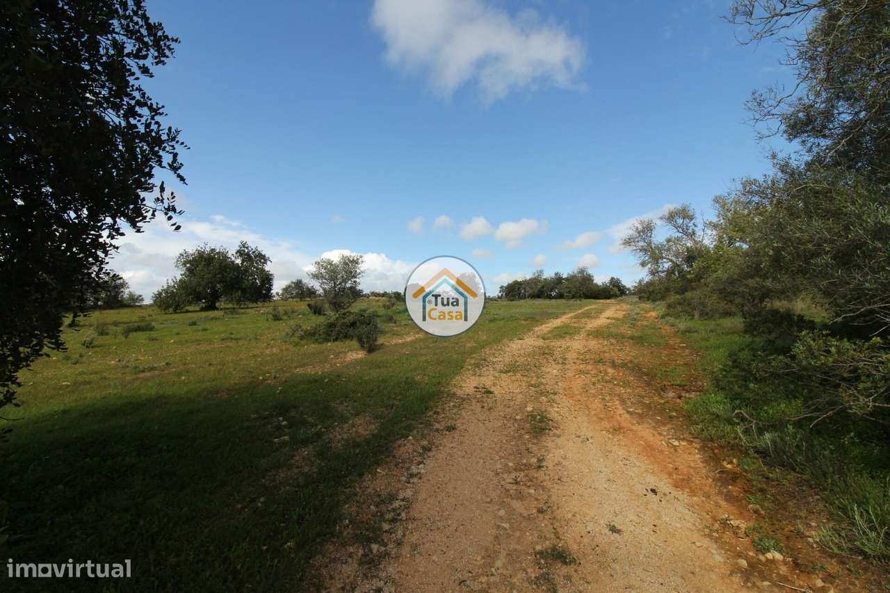 Terreno Rústico com Aproximadamente 3000 m2 Perto de Pechão - Grande imagem: 4/31