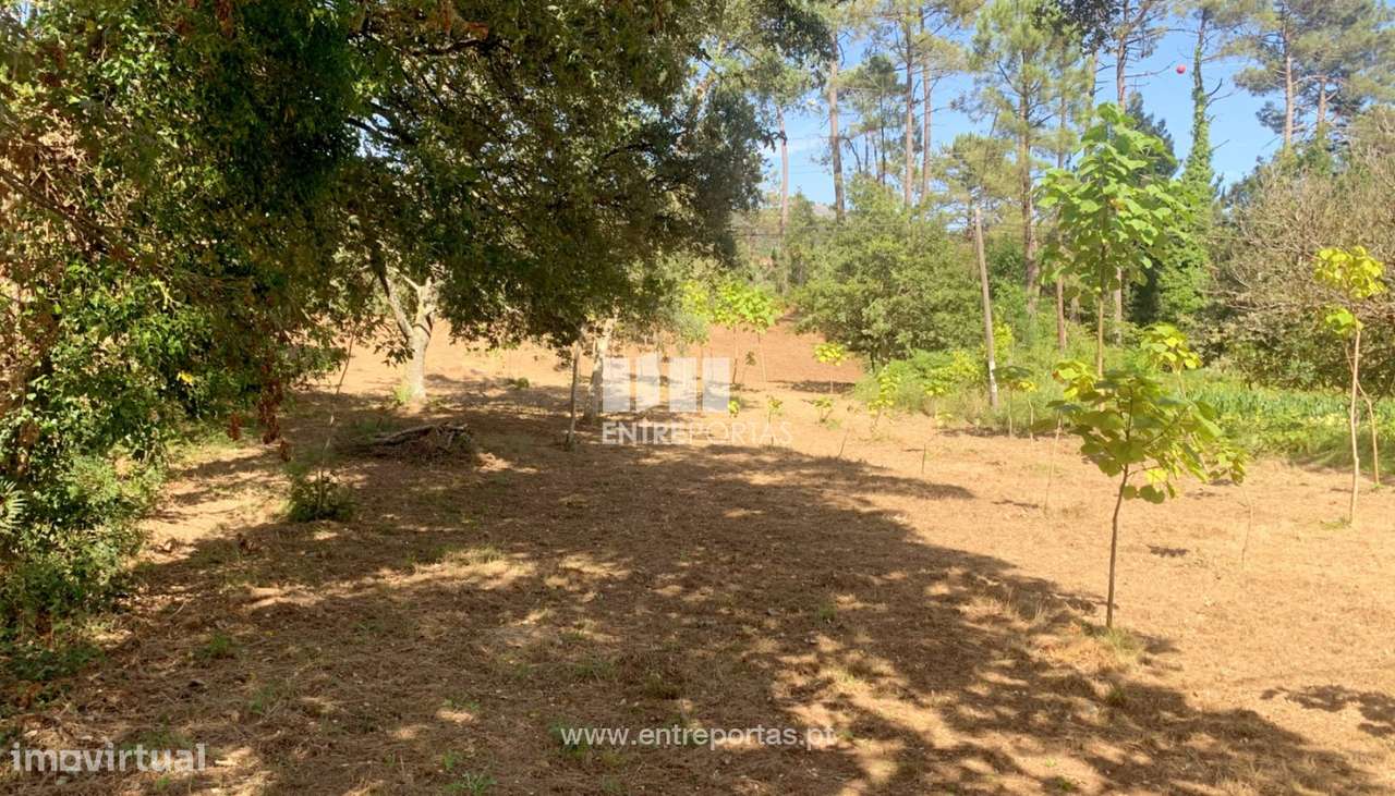 Terreno para venda, Orbacém, Caminha - Grande imagem: 2/9