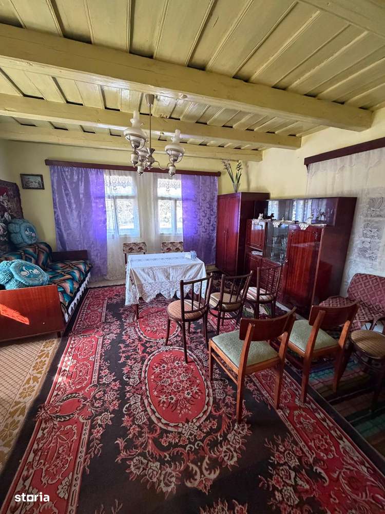 Comision 0% I Casa individuala I Teren de 3252 mp I Arghis-5