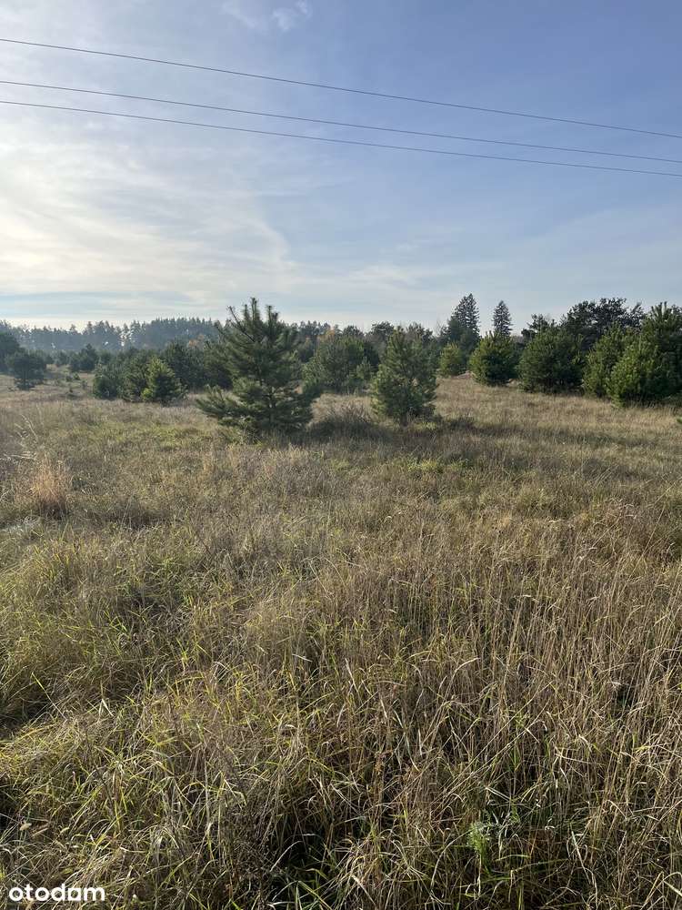 Targowo działka na sprzedaż na Mazurach blisko jeziora.-4