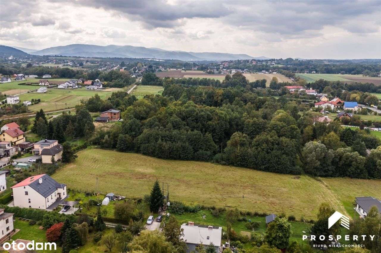 Działka budowlana pod lasem Kozy-9