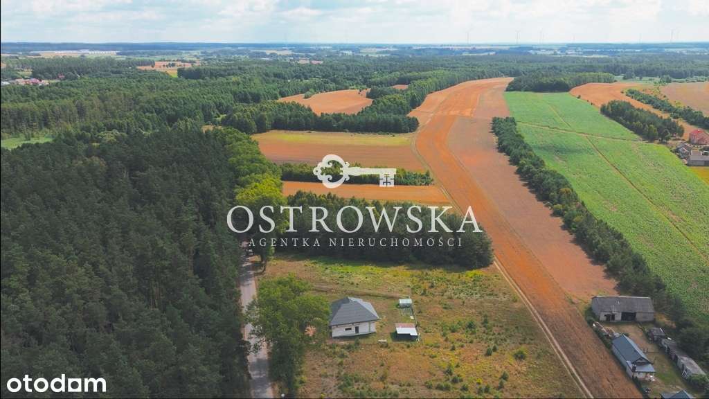 Dom SSO w Piekiełku z dużą działką i mediami - Pełny obrazek: 4/13