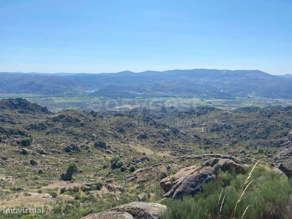 Quinta do Peso, com vista para o rio Sabor - Grande imagem: 1/13