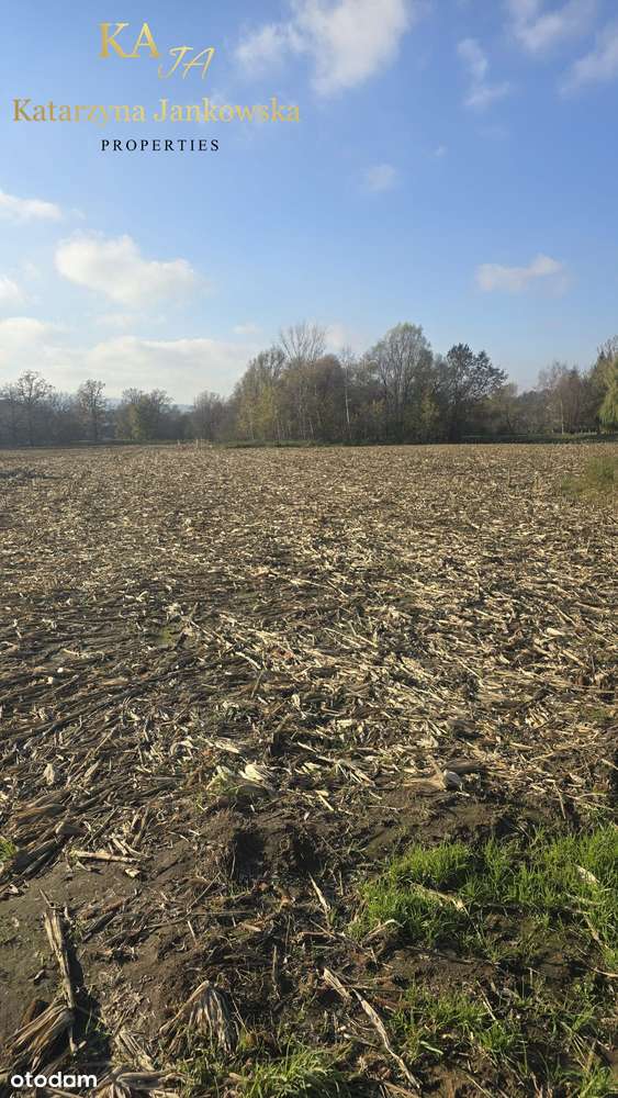 Wyjątkowa nieruchomość gruntowa na sprzedaż, Krzyżowa, gmina Świdnica-8