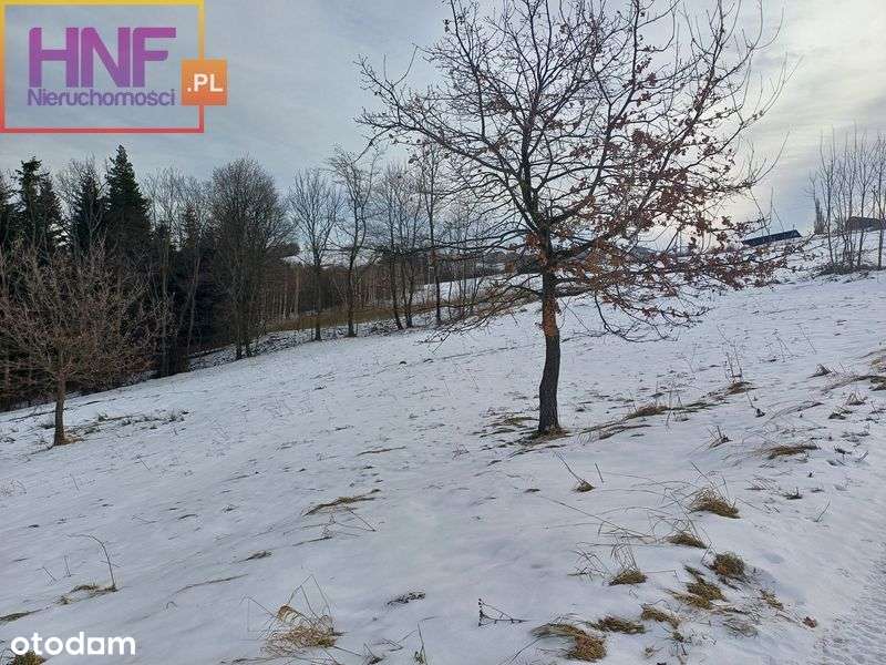 Działka 50,62ar w miejscowości Męcina - Pełny obrazek: 5/9