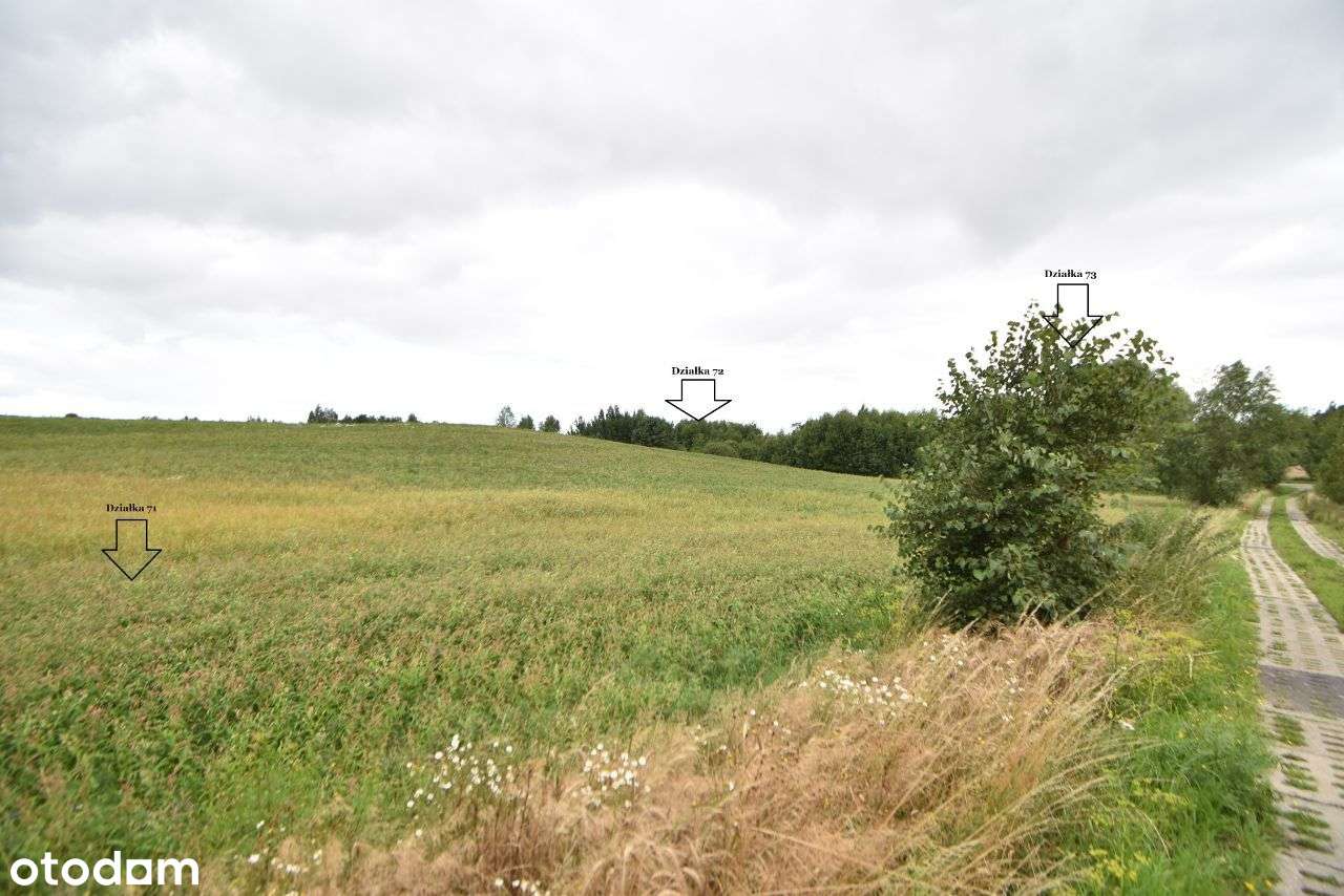 24 działki WIELE OPCJI płaski teren-10