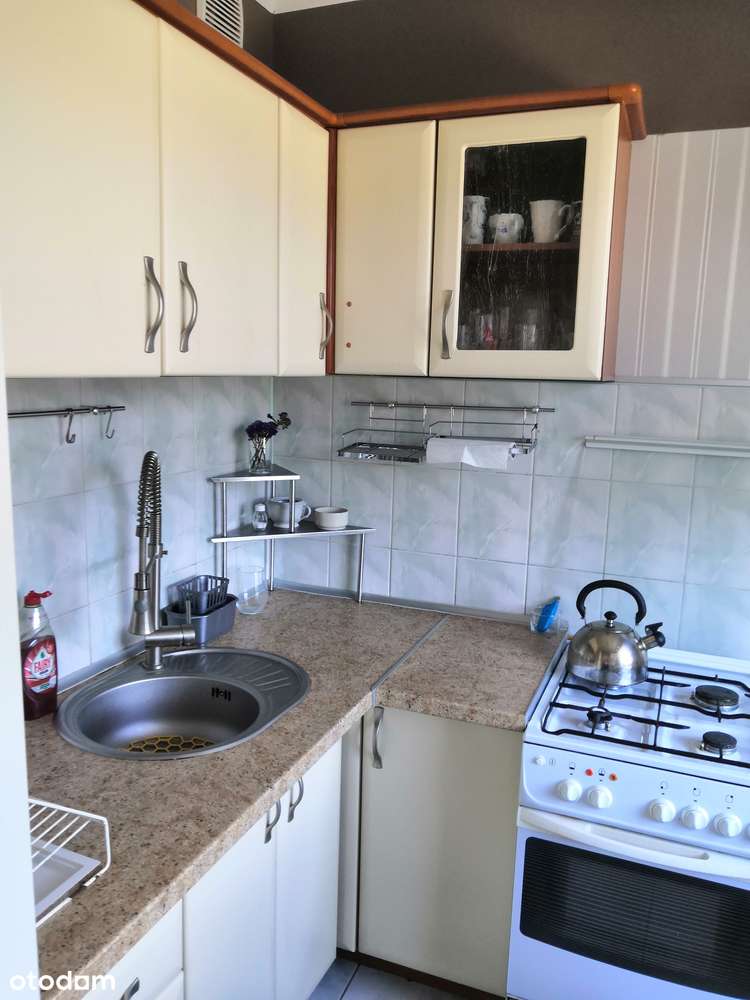 Przytulne mieszkanie z balkonem na wynajem - Pełny obrazek: 5/8