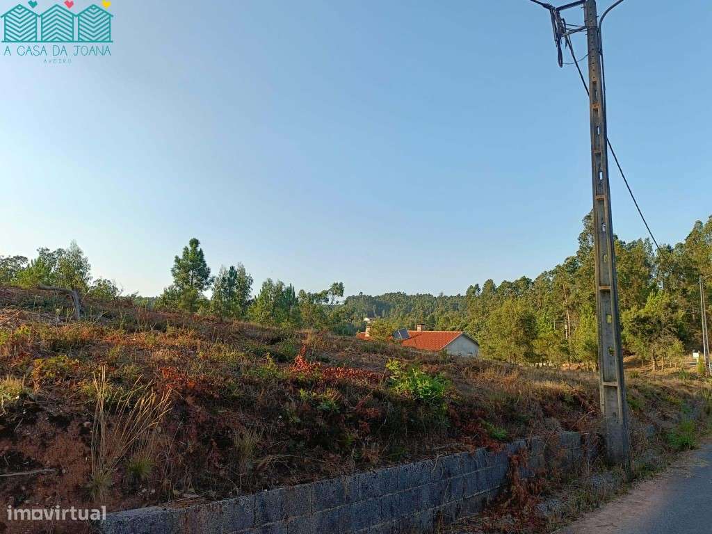 Terreno em Águeda - Grande imagem: 4/7