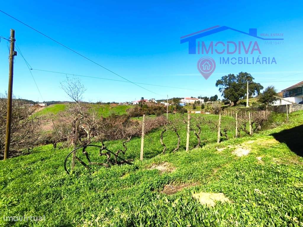 Quinta com mais de um héctar de terreno, em Graça, Pedrogão Grande-19