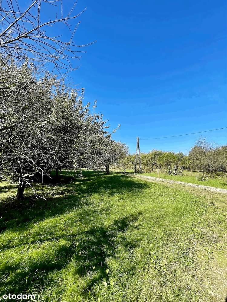 Dom w sąsiedztwie miasta z dużą działką-11