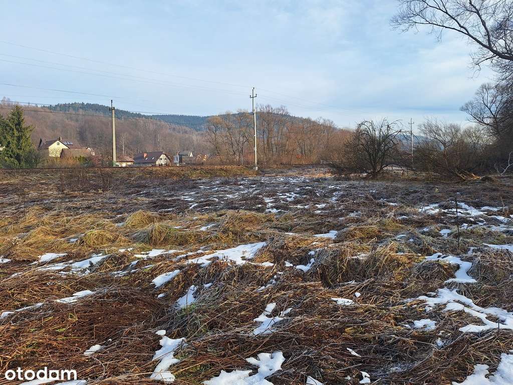 NOWOŚĆ!!! Na sprzedaż trzy działki rolne! TANIO!!! - Pełny obrazek: 2/9