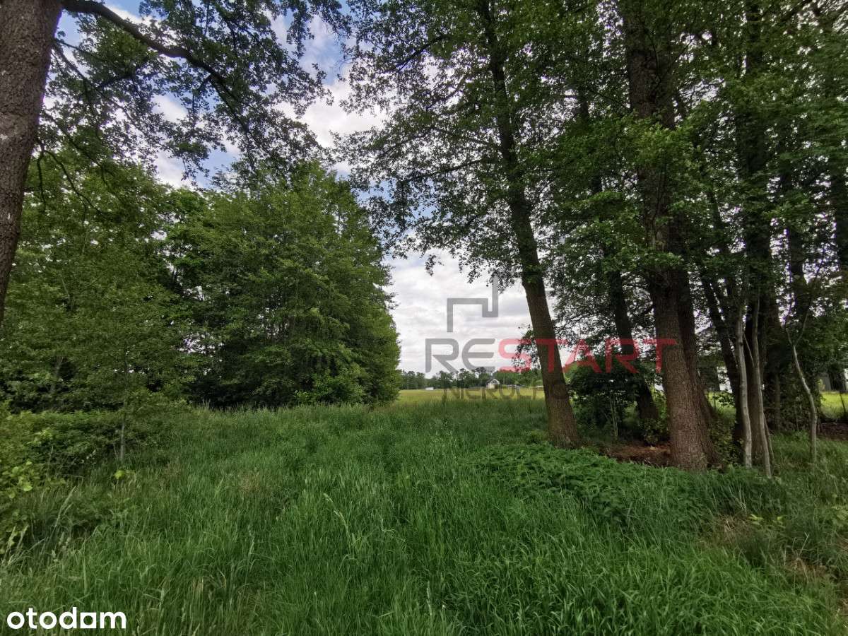 Blisko Grodziska, budowlana. - Pełny obrazek: 4/7