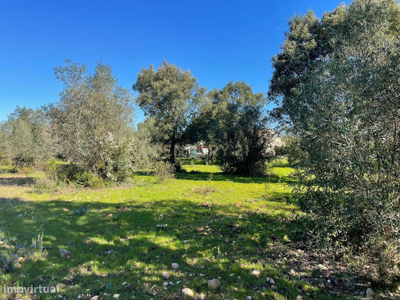 Terreno em Martinchel, Abrantes - Grande imagem: 2/13