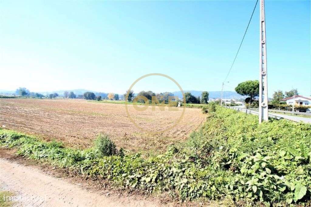 Terreno Agrícola no Louro - Grande imagem: 4/7