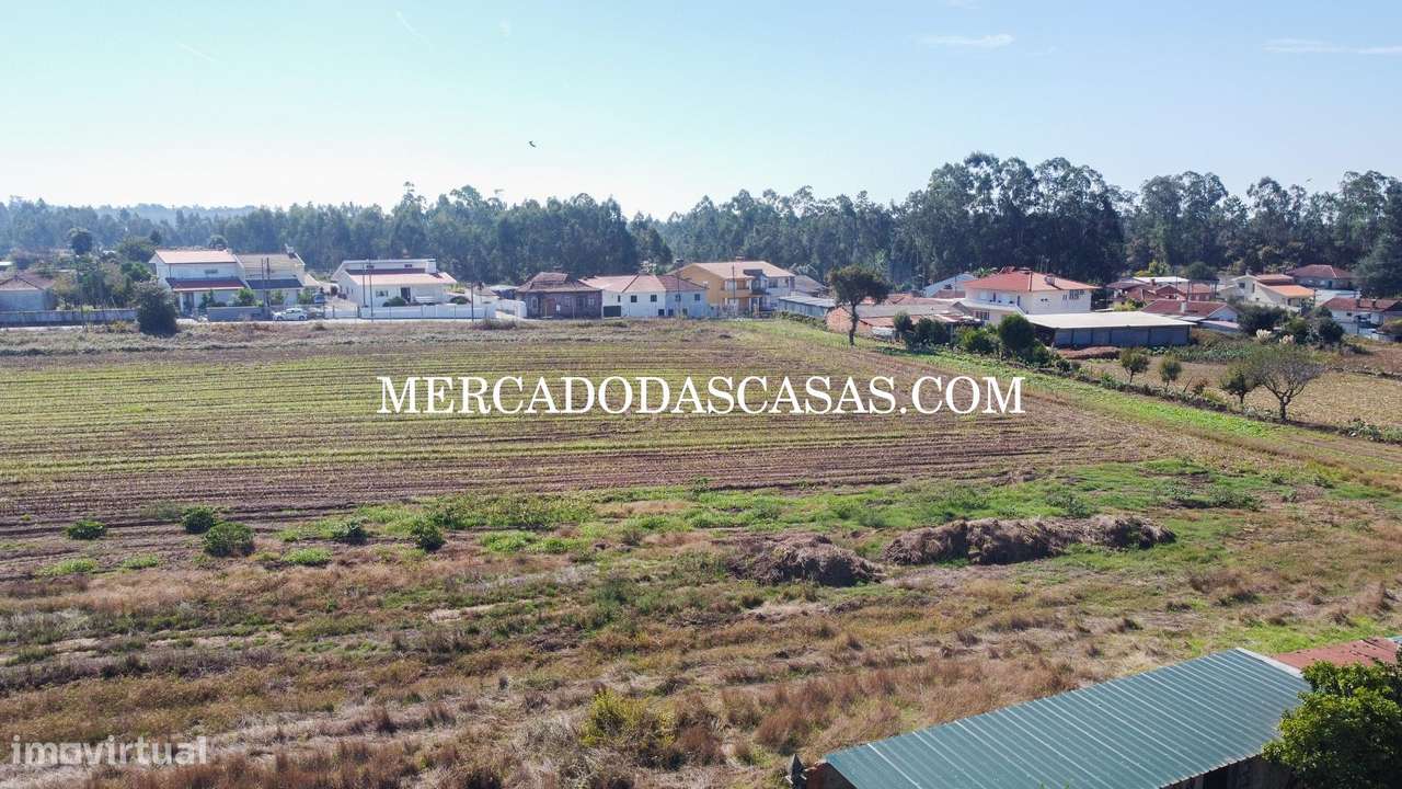 Terreno c/ 16,560m2 - São Miguel de Souto-10