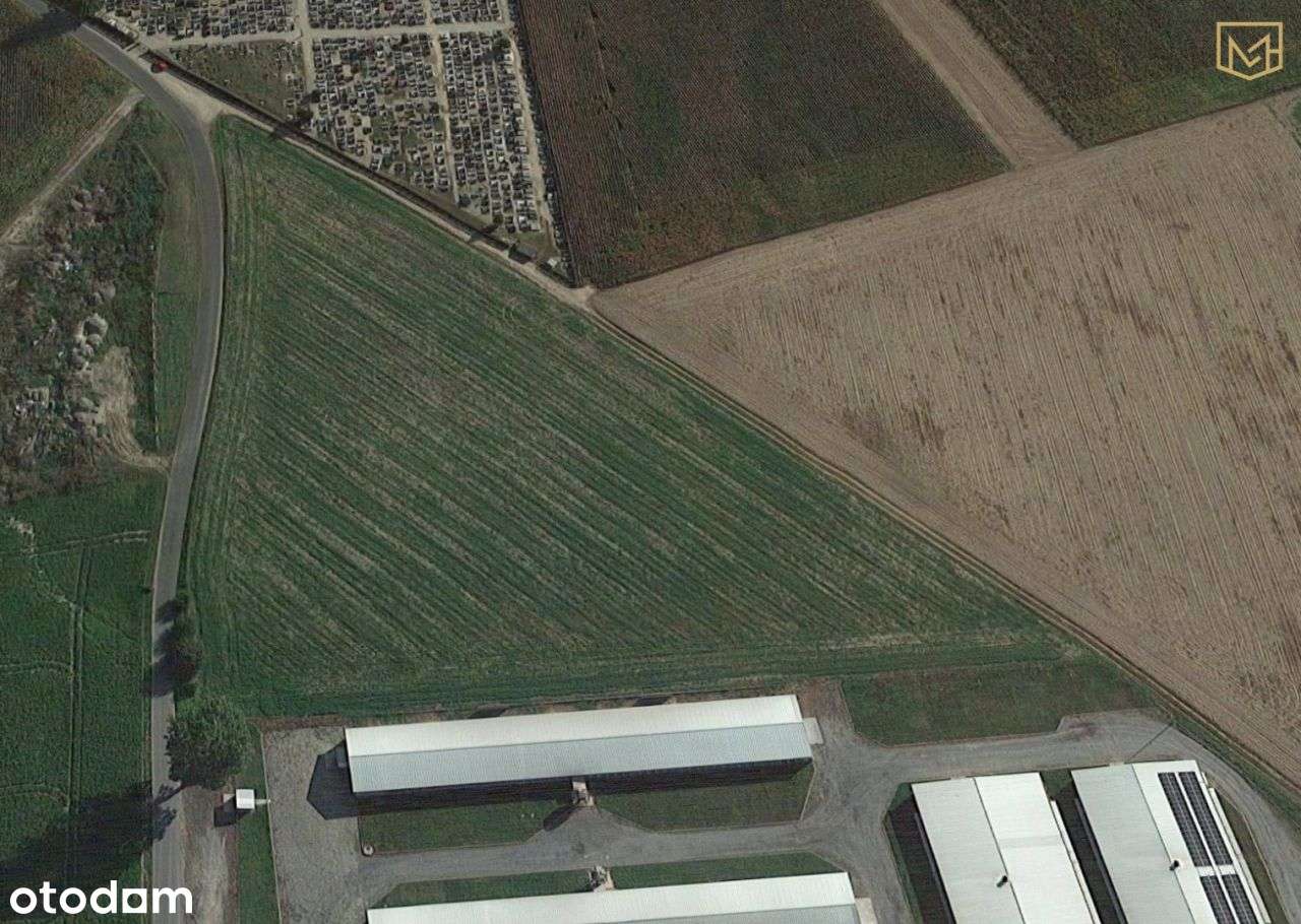 Działka usługowa 1,44 ha | Mpzp dla inwestycji - Pełny obrazek: 4/10