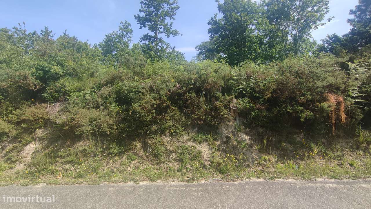 Terreno em Fiscal, Amares-5