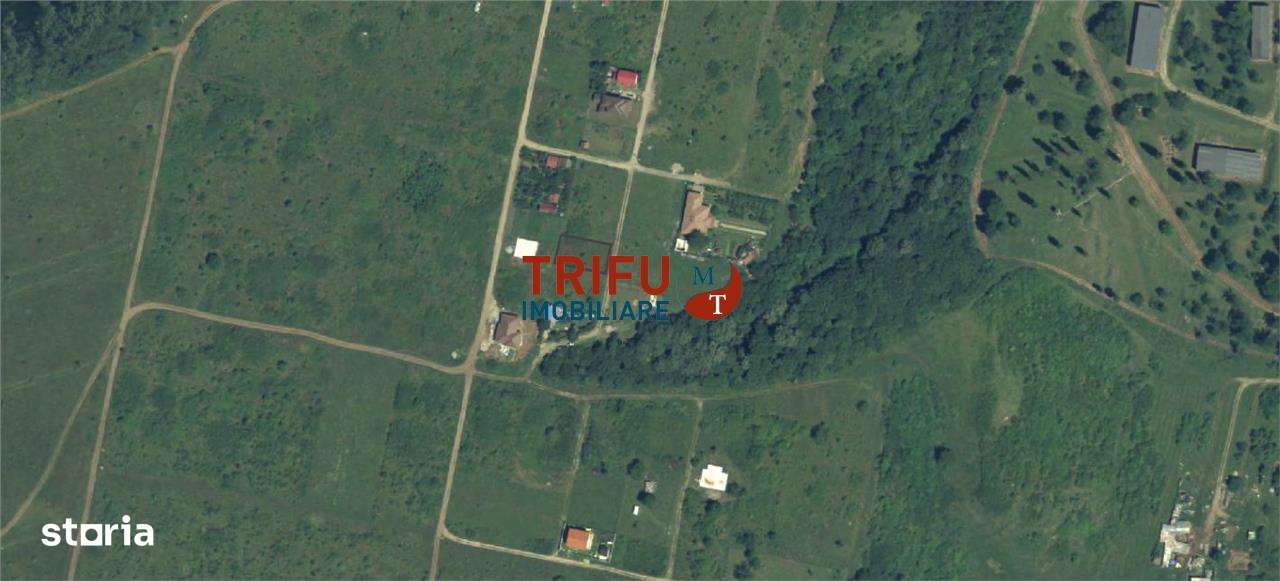 Teren in Podei de vanzare intravilan construibil - Imagine principală: 3/3