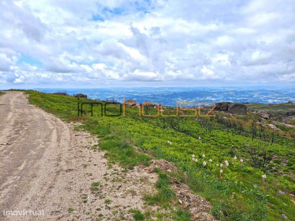 Terreno de 84 hectares-45