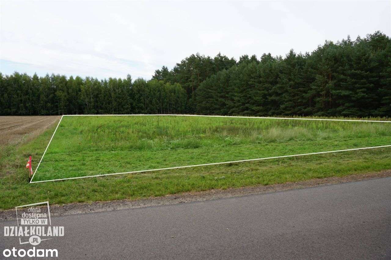 Dz. budowlana 4060 m², Skęczno (Kol. Piła), Zadzim-4
