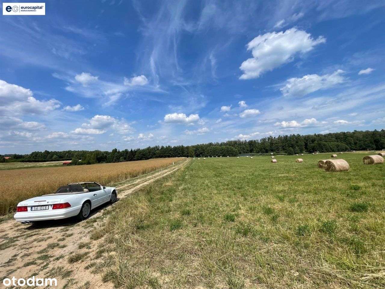 Działka nad jeziorem Kisajno/Mazury ! - Pełny obrazek: 5/20