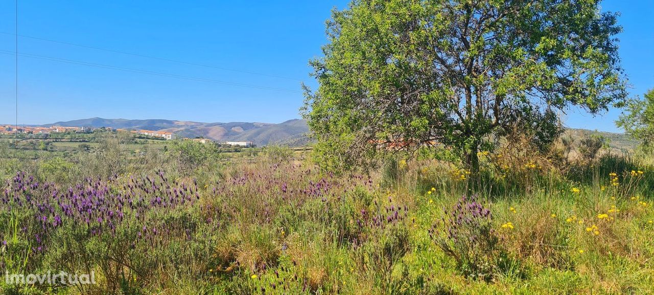 Terreno para moradia de 3 frentes em Vila Nova de Foz Côa com magnifi