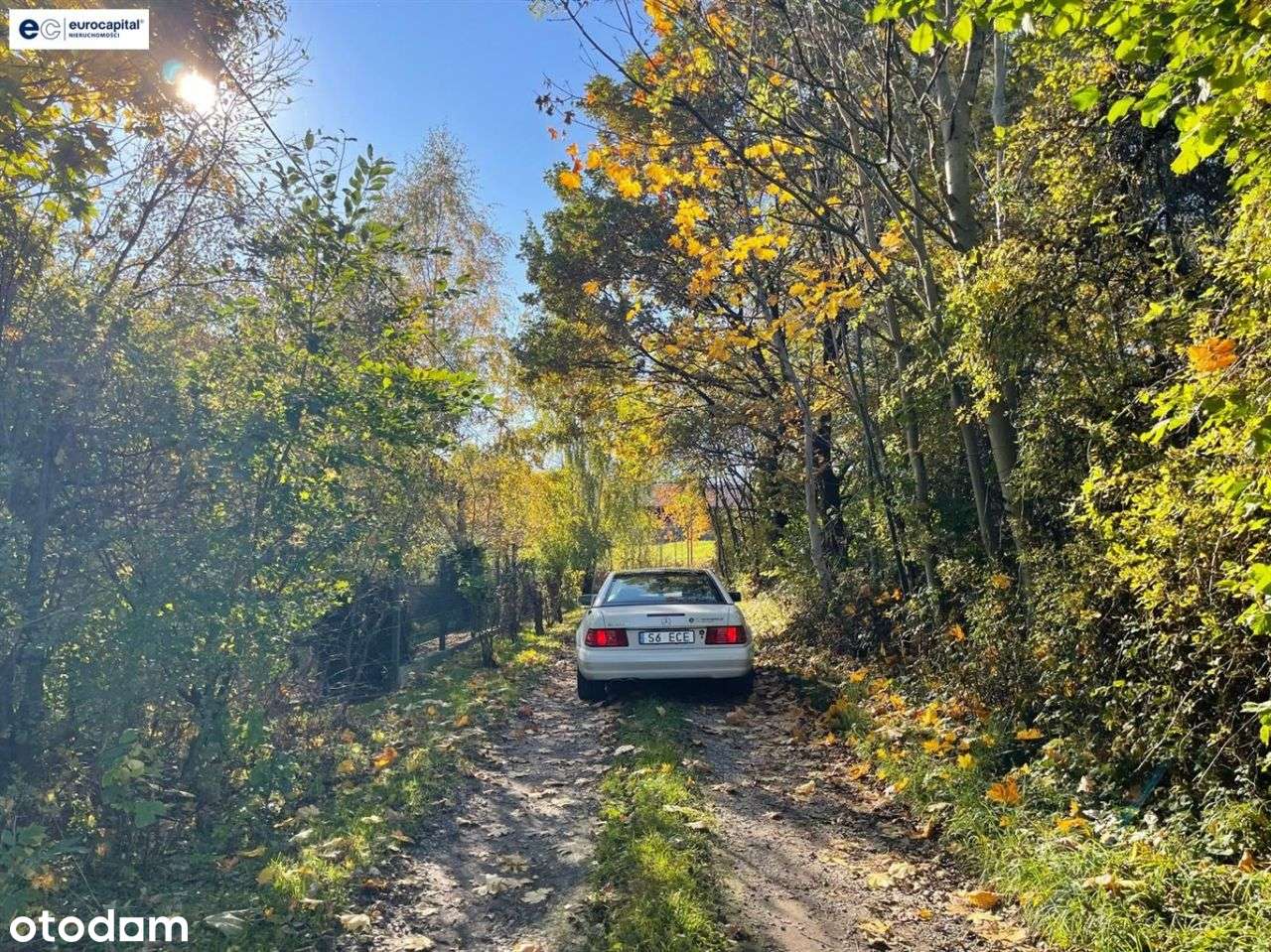 Duża działka w sasiedztwie zagajnika i strumyka!-2