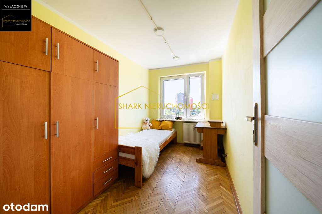 Perełka inwestycyjna na Winogradach! - Pełny obrazek: 3/20