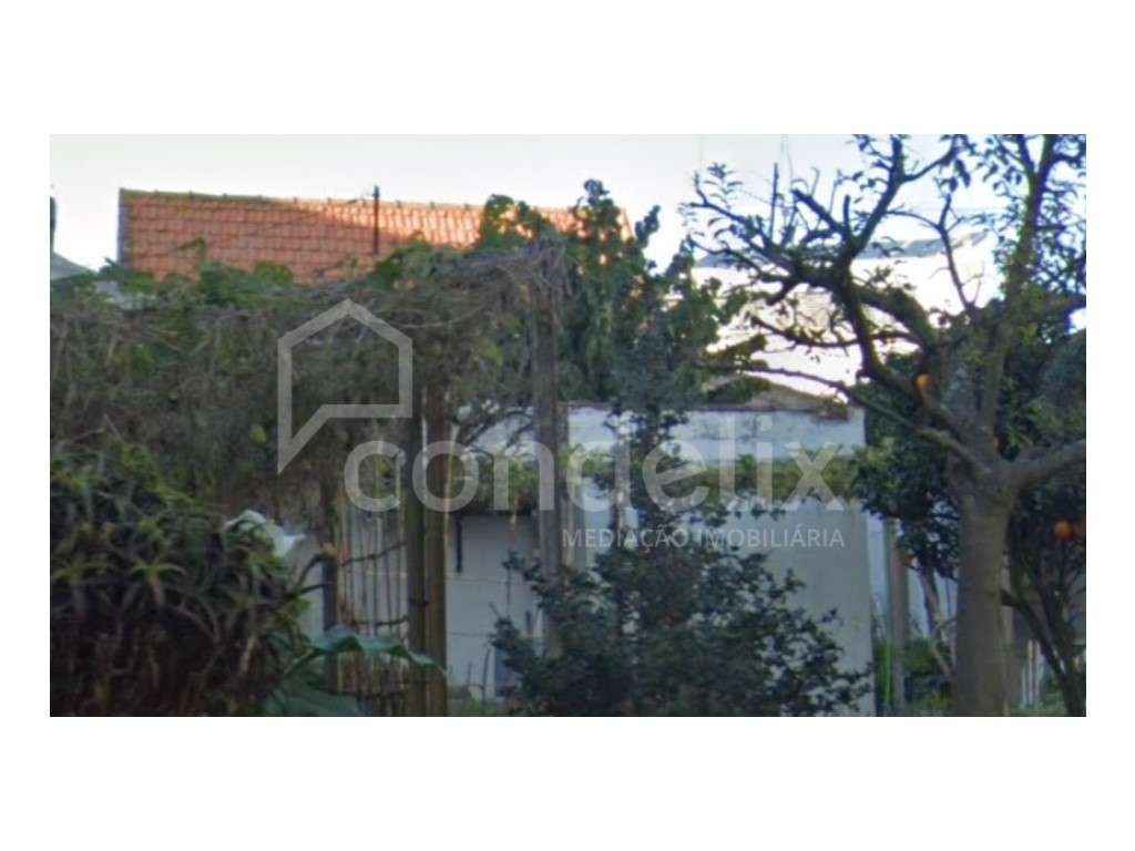 Terreno para venda em Leça da Palmeira - Grande imagem: 5/14