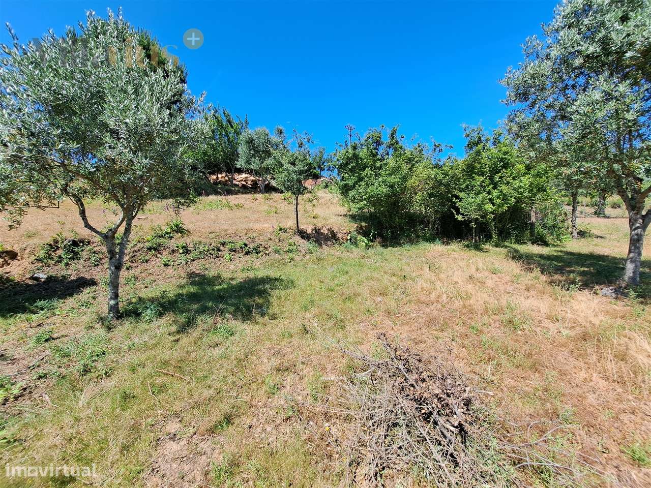 Terreno Urbano com Vista e Acesso Rápido a Tomar | Villarius Imobiliár-14