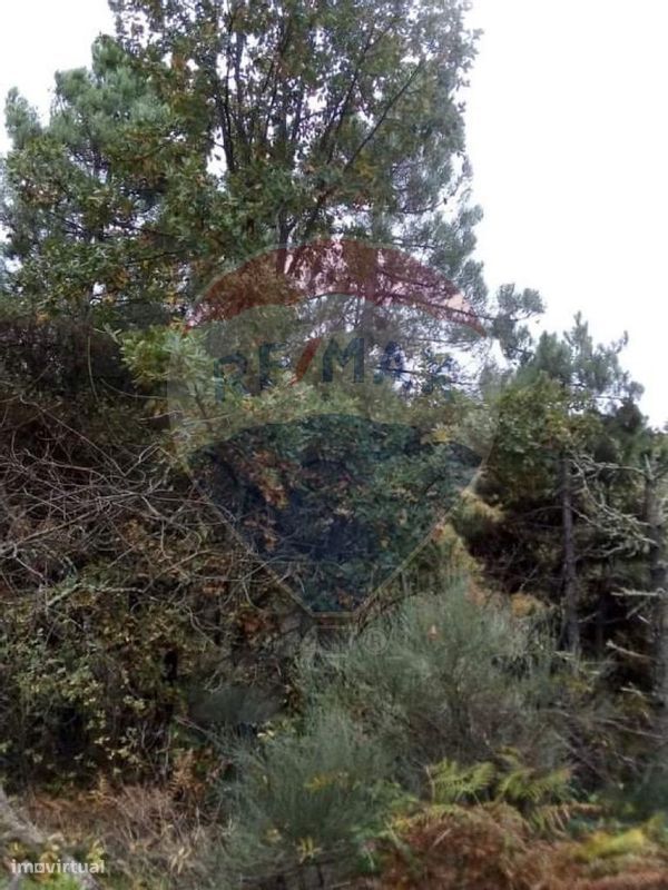 Terreno  para venda - Grande imagem: 2/3