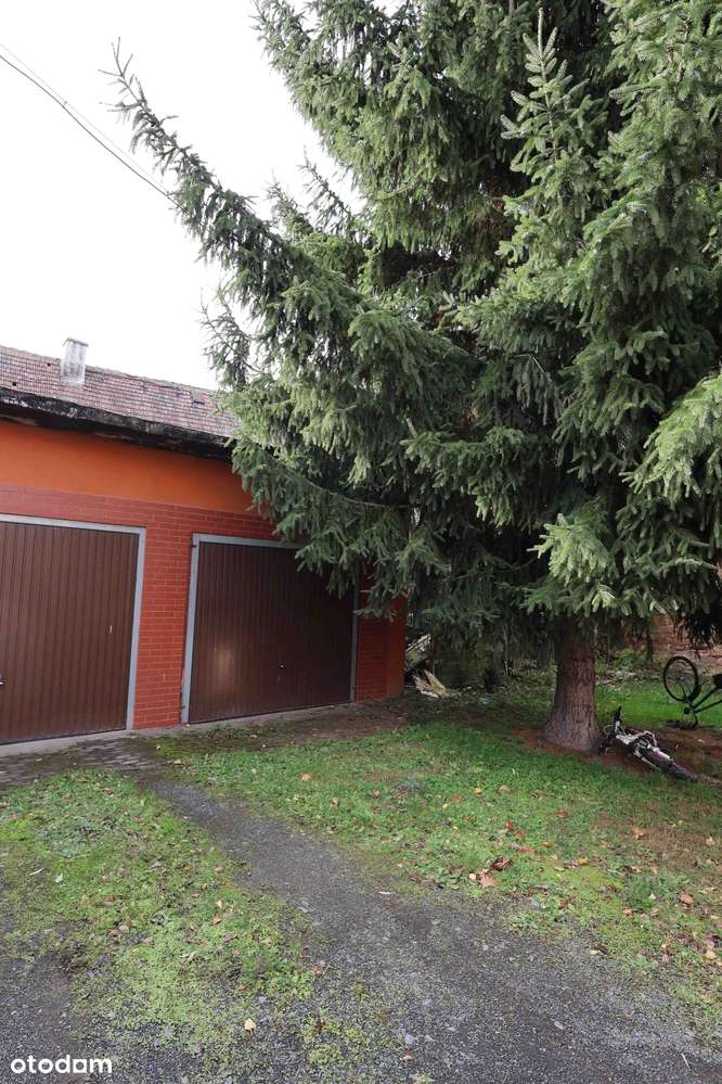 Mieszkanie z dużym ogrodem i ogromnym potencjałem – Nowy Kościół-8